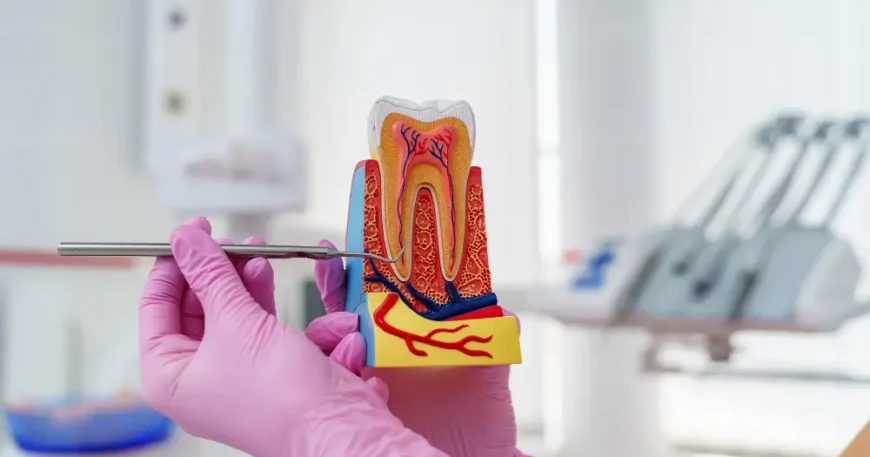 هل يوجد الم بعد حشو العصب؟ الفرق بين الألم الطبيعي والخطر